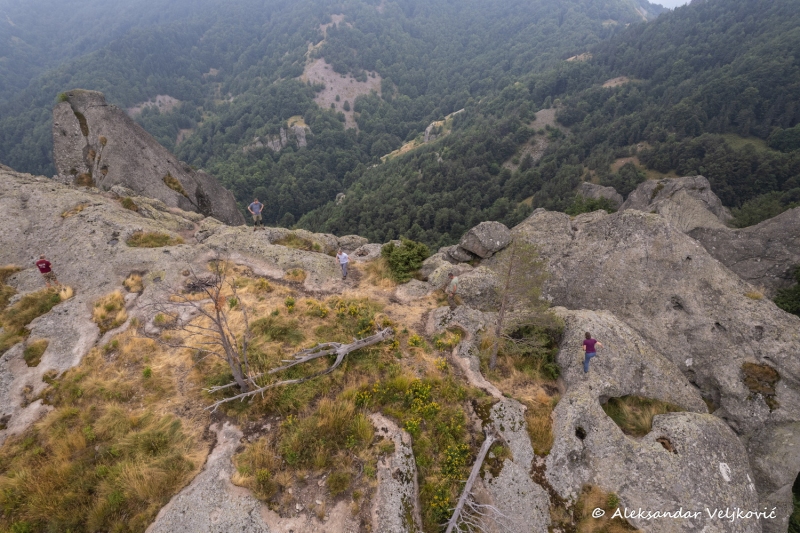 DJI_0508