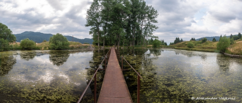 DSC_9336-Pano
