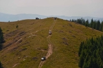Zmijica