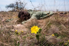 Among the flowers