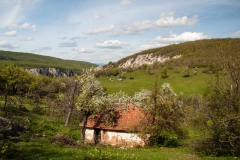 Another old house on Kovej
