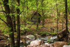 An old water mill by the black river