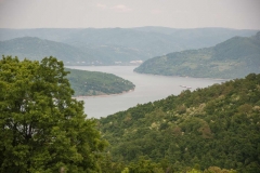 A closer look at the Danube from Miroč forests