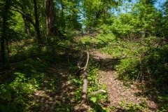 Are we going to start clearing again? I think not...