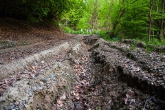 Deep ruts have destroyed many forest roads - or at least turned them into testing ground for extreme 4x4 machines