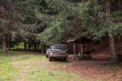 In the Brodica valley