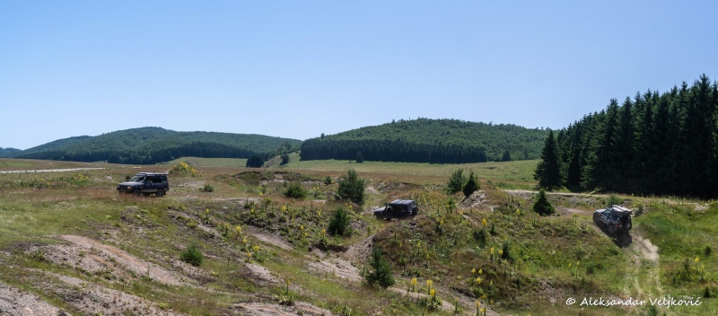 DSC_9352-Pano