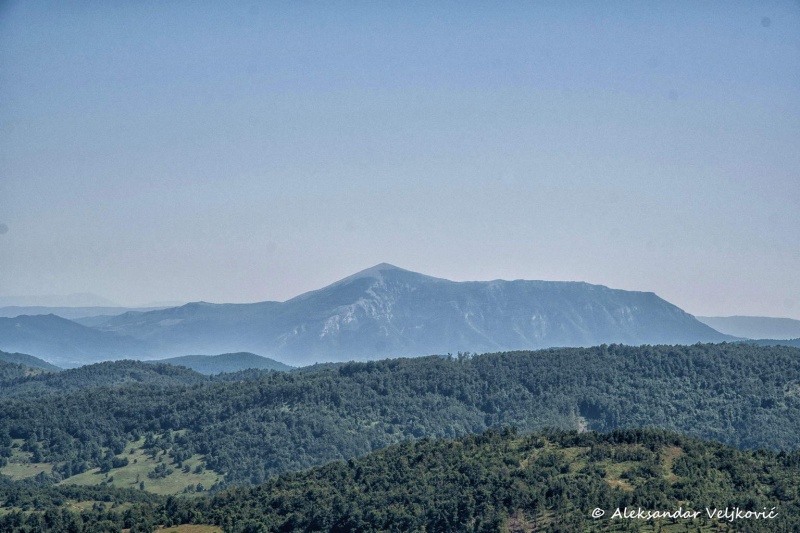 DSC_9379-Edit