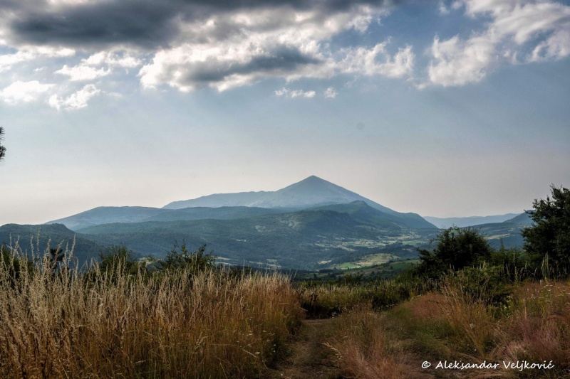 DSC_9460-Edit