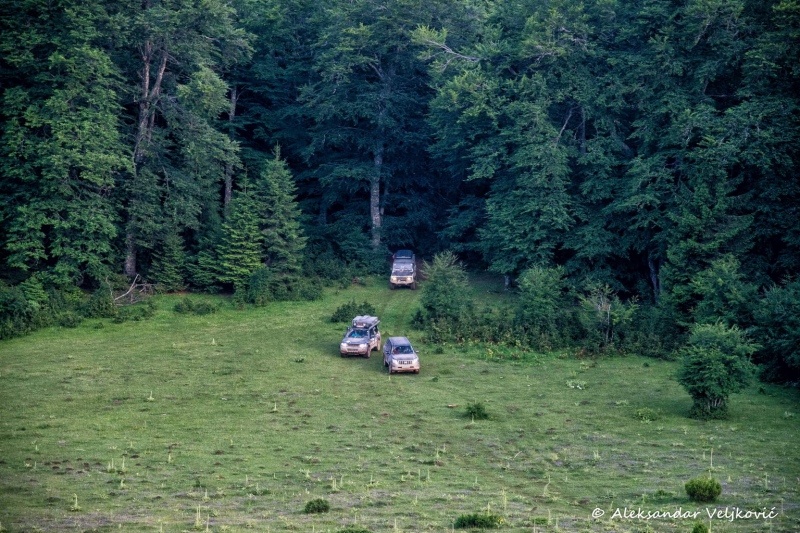 DSC_9502-Edit