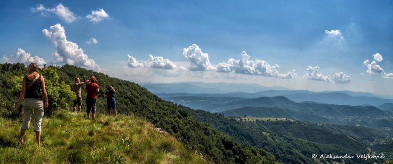 DSC_9541-Pano-Edit