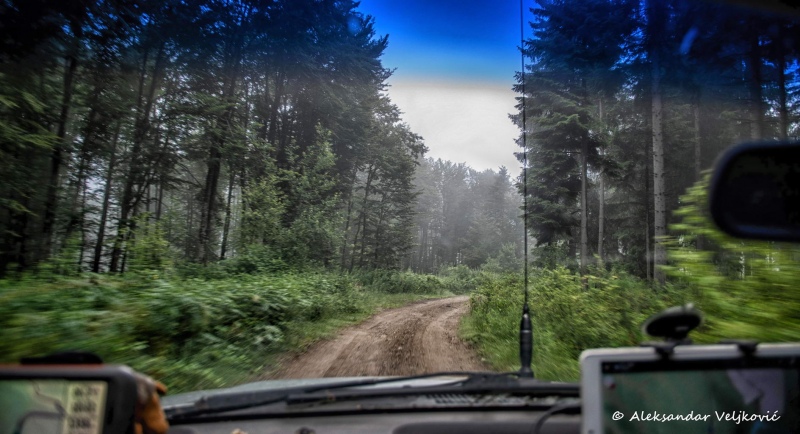 DSC_9864-Edit