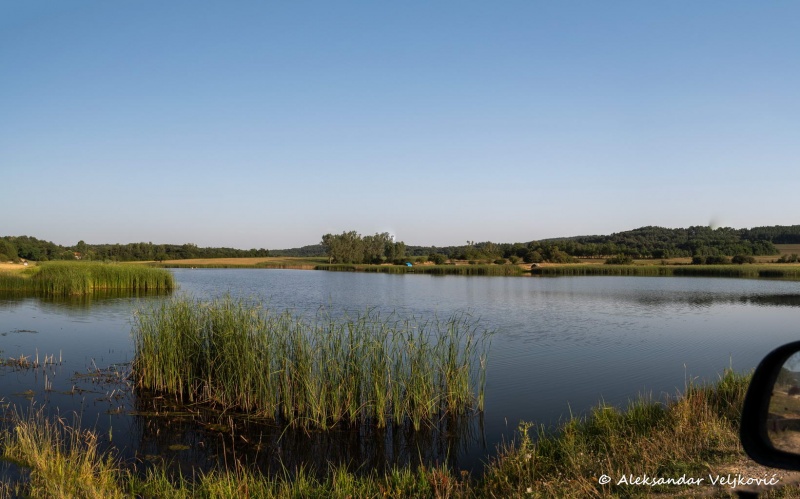 DSC_6822-Pano