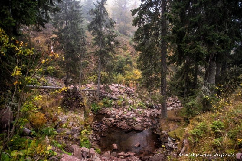 DSC_9265-Edit