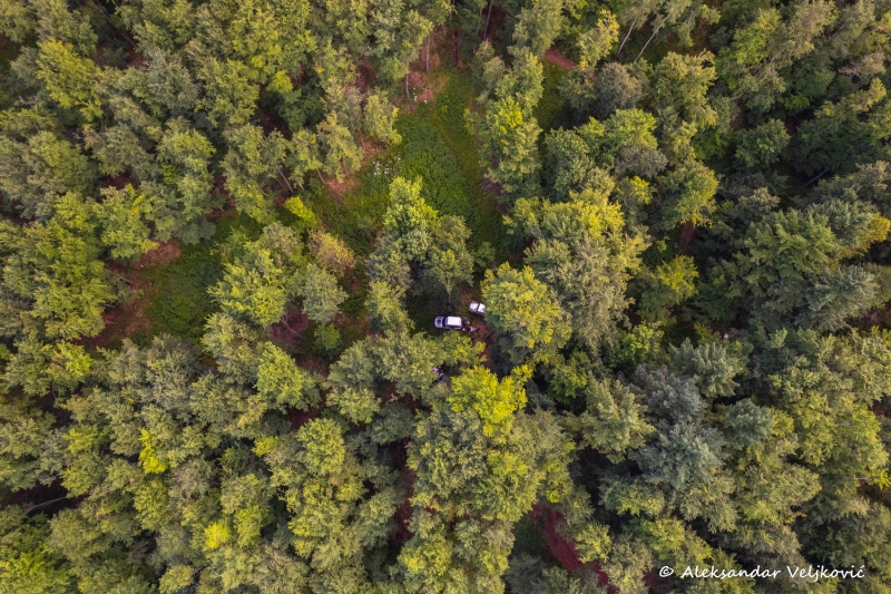 DJI_0818
