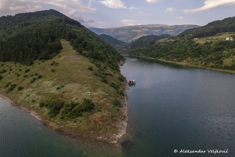 DJI_0910