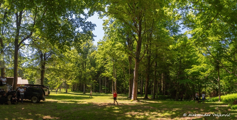 DSC_8275-Pano