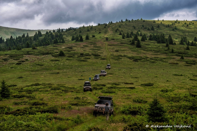 DSC_8330-Edit