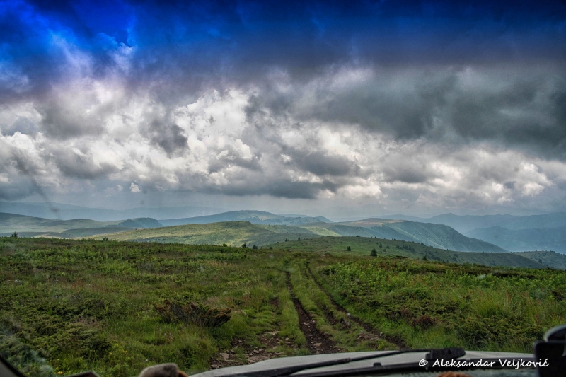 DSC_8340-Edit