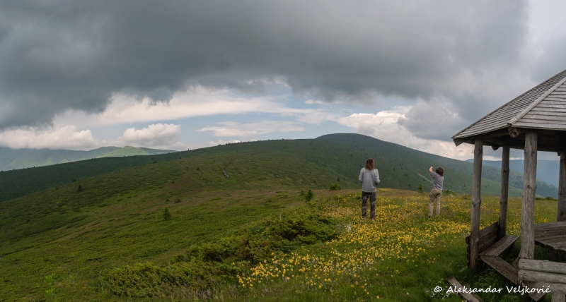 DSC_8343-Pano