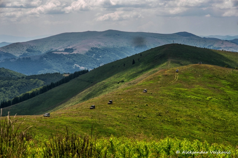 DSC_8493-Edit