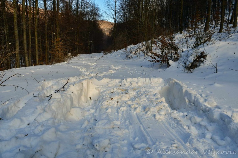 This will become accessible in springtime