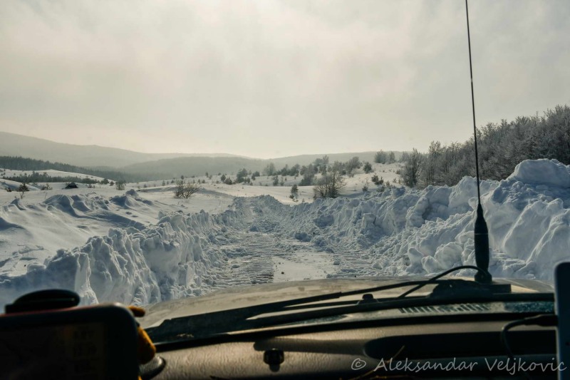 We couldn\'t have broken through this snowdrift alone