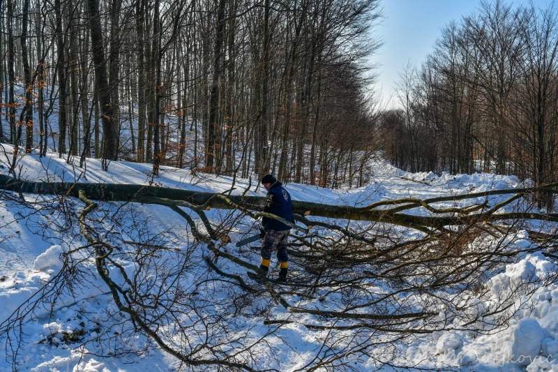 Lumberjack working in mid winter