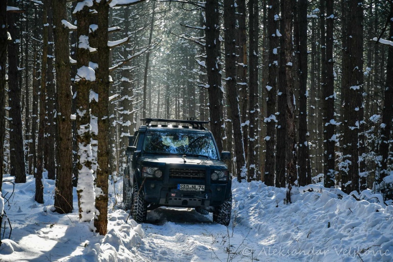 Deep in the forest of Kučaj