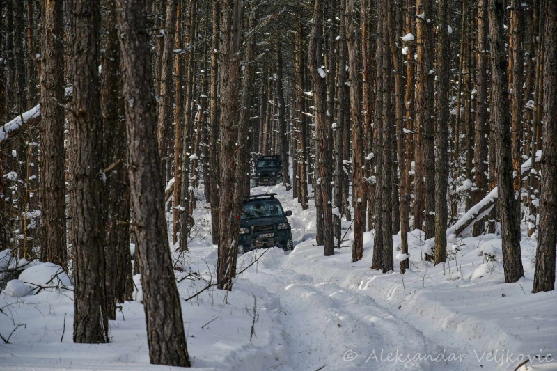 The beautiful forest trails in winter
