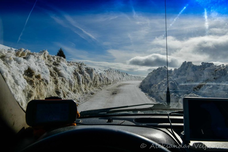 Driving through the Golija "snow tunnel"