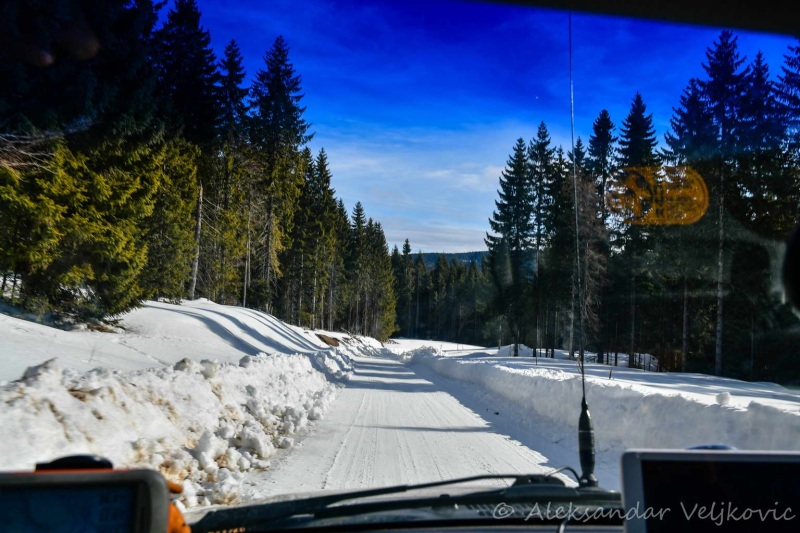 The beautiful Golija forests