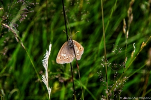DSC7509Edit