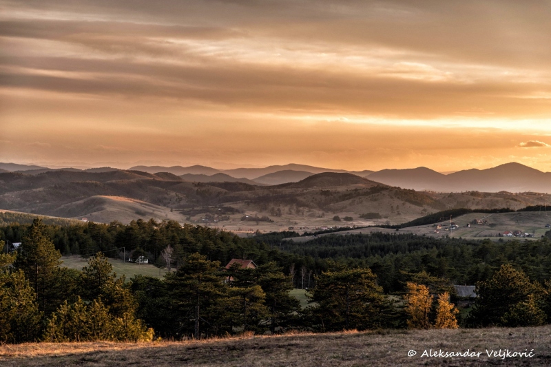 DSC_6648-Edit