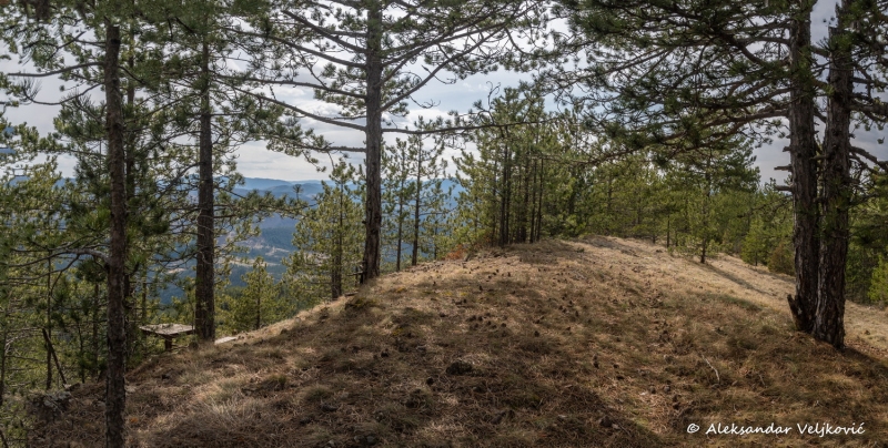 DSC_6734-Pano