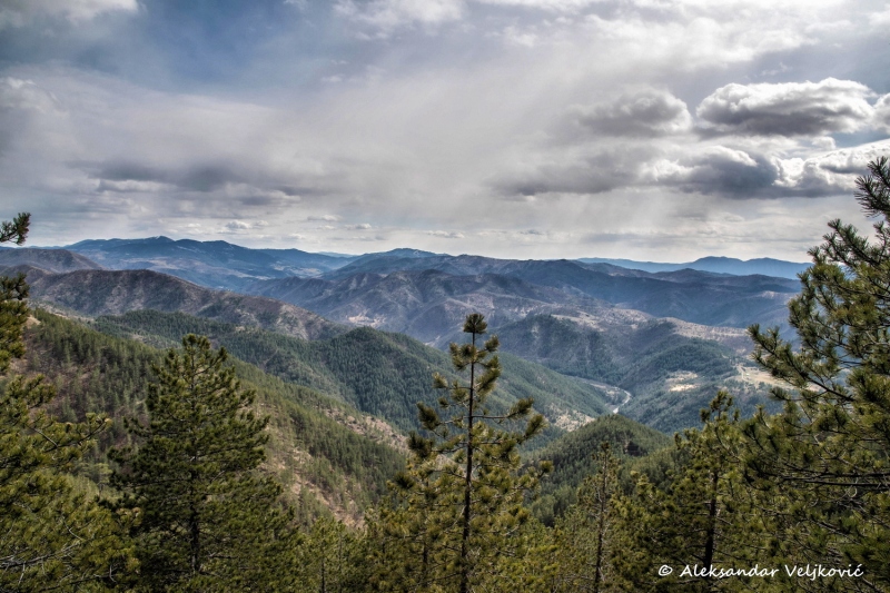DSC_6736-Edit