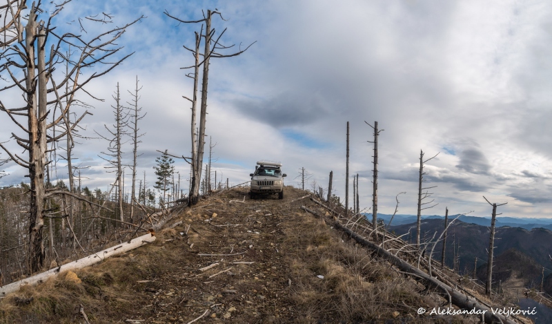 DSC_6763-Pano