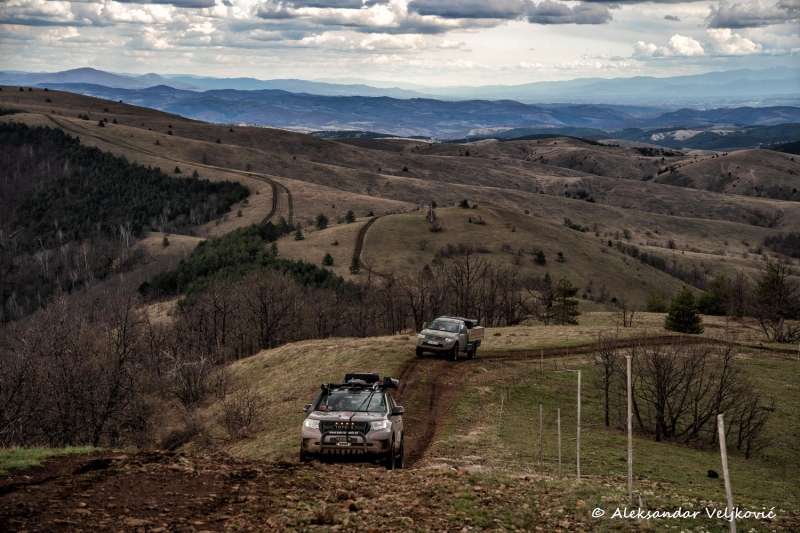 DSC_6804-Edit