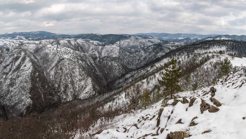 DSC_6992-Pano