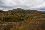 Šarenilo jeseni