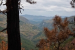 Pogled na kanjon Belog Rzava
