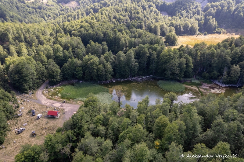 DJI_0730