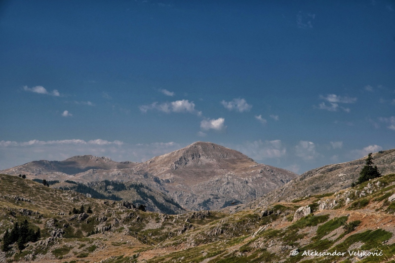 DSC_9588-Edit