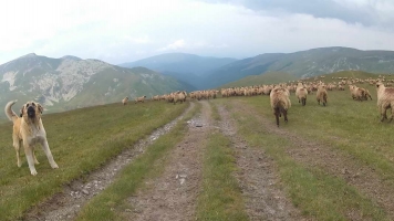 Rumunija2015034