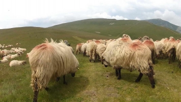 Rumunija2015035