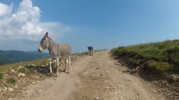 Rumunija2015209