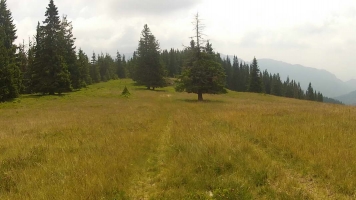Rumunija2015262