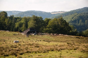 Rumunija2015295