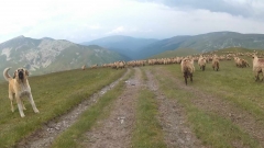 Rumunija_2015_034