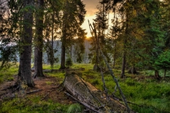Rumunija_2015_323